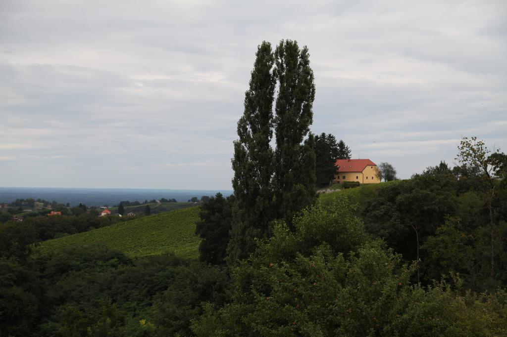 Holiday Home Maderka Strigova Zewnętrze zdjęcie