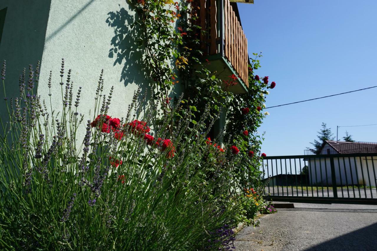 Holiday Home Maderka Strigova Zewnętrze zdjęcie