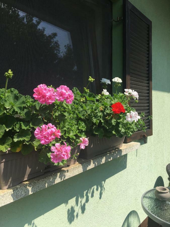 Holiday Home Maderka Strigova Zewnętrze zdjęcie